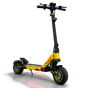 Patineta Eléctrica todo Terreno 800w (Pico 16002