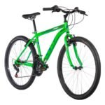Verde Vivid Brillante - Gris Brillante